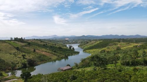 đất vườn bảo lộc, đất sào bảo lộc