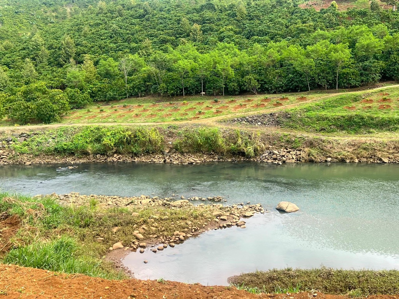 1054m2 đất thổ cư ven sông Đại Nga, Tp Bảo Lộc, phù hợp làm nghỉ dưỡng, Farmstay 4 z4273823611793 6f24d5fb772eca847dc0d570822ae644 1