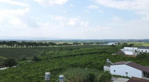 z4316589941133 f3fed65b9bea24810ace8bfdb3edc3c3