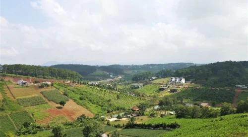 z4506699450287 451651b12093e48739da90746578ee01