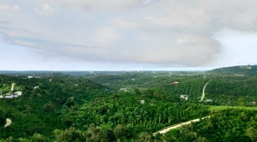 z6379783706818 80556fb97d40ec453c88dd8f04c532d9